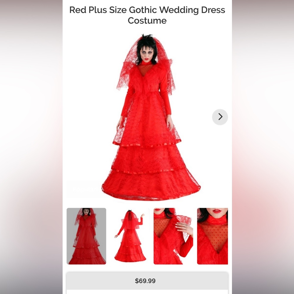 Lydia deetz costume size 3x